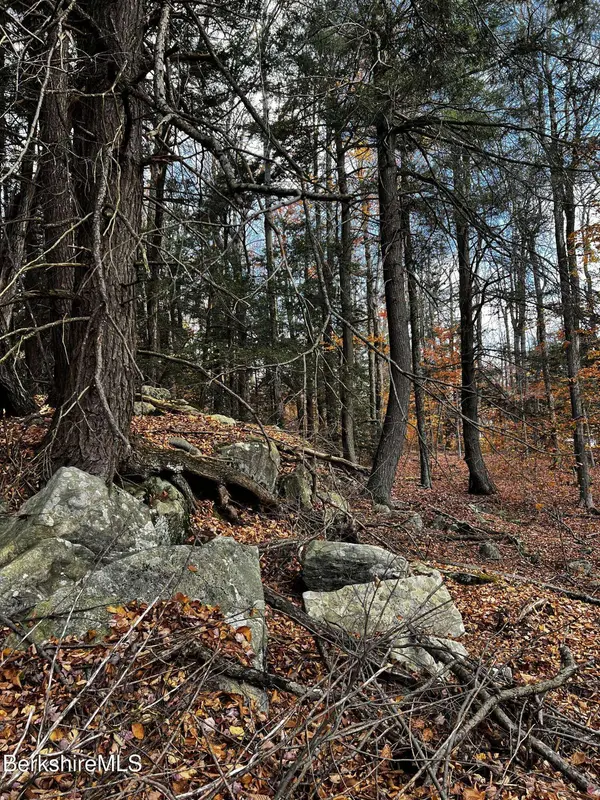 Lot 3A Hiawatha HL, Becket, MA 01223