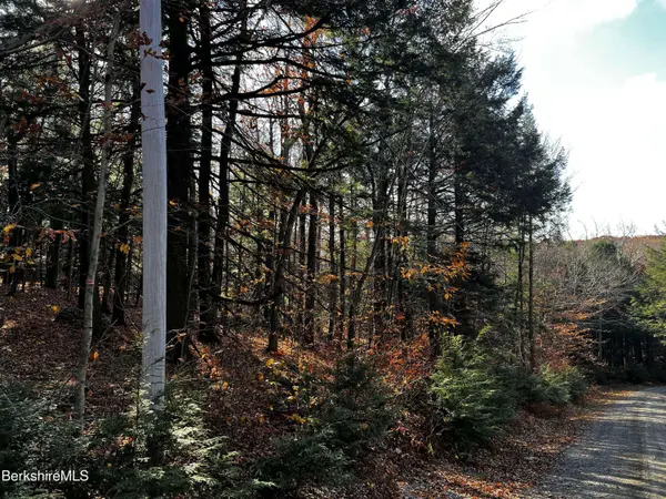 Lot 3A Hiawatha HL, Becket, MA 01223