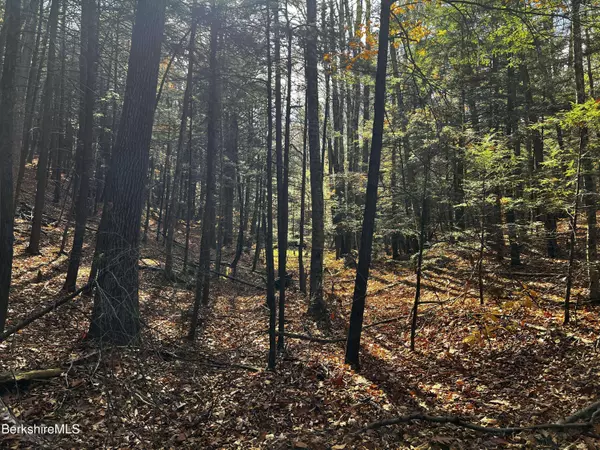 Lot 84 Moberg Rd, Becket, MA 01223
