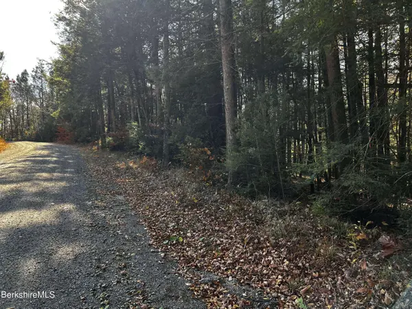 Lot 84 Moberg Rd, Becket, MA 01223