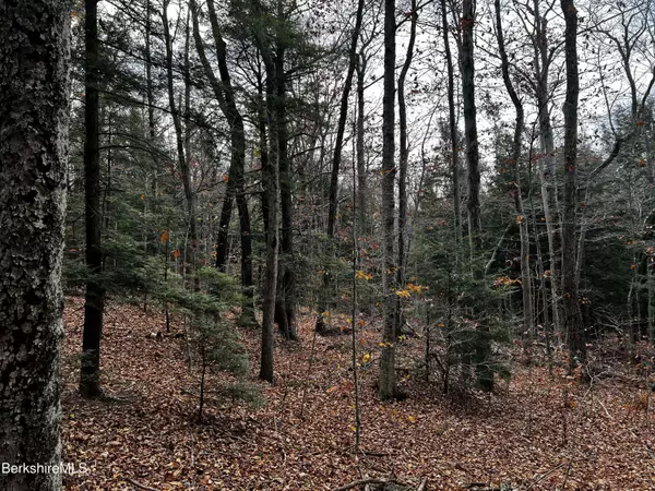 Lot 83 Moberg Rd, Becket, MA 01223