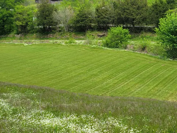 0 Granville Hwy, Chestnut Mound, TN 38552