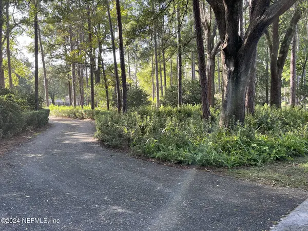 4260 SADDLEHORN TRL, Middleburg, FL 32068