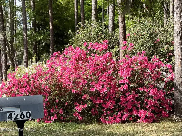 4260 SADDLEHORN TRL, Middleburg, FL 32068