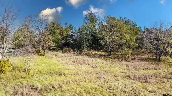 19647 Dove Ridge (LOT #10), Lindale, TX 75771