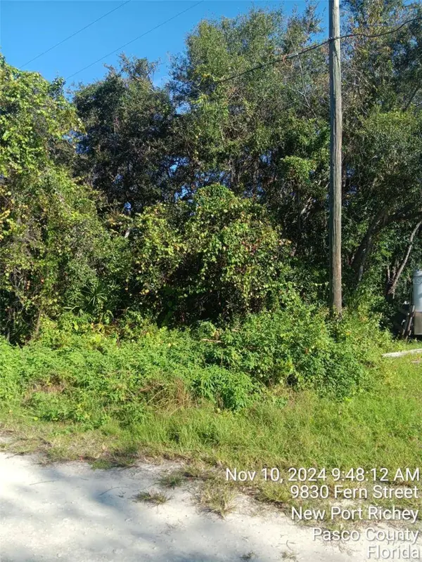 0 FERN ST, New Port Richey, FL 34654