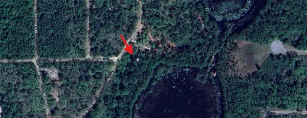 0 NE 114TH AVE, Fort Mc Coy, FL 32134