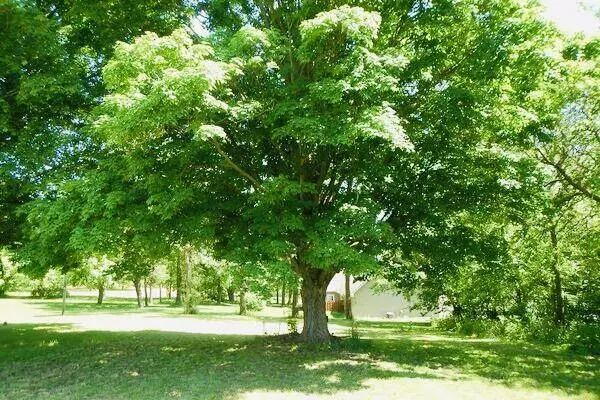 302 Paw Paw St. Street, Decatur, MI 49045