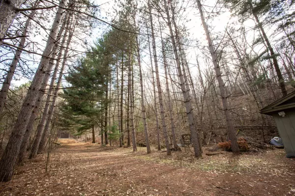 499 Perch Lake RD, Saint Joseph Twp, WI 54016