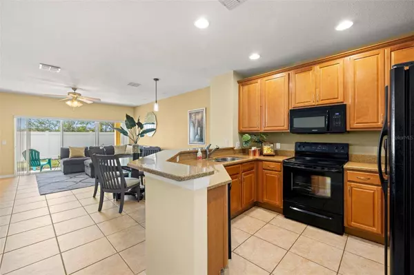 20476 NEEDLETREE DR, Tampa, FL 33647