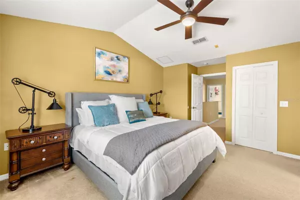 20476 NEEDLETREE DR, Tampa, FL 33647