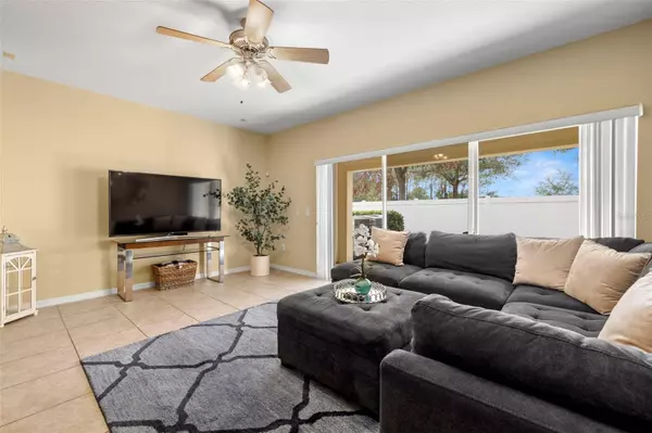 20476 NEEDLETREE DR, Tampa, FL 33647