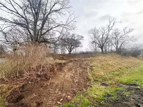 SR 164, Lisbon, OH 44432