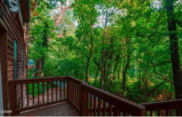 215 Lovers LN, Townsend, TN 37882