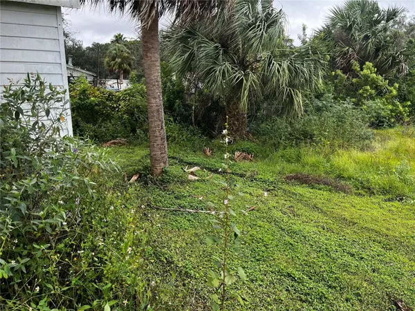 9134 WOOD TERRACE DR, Tampa, FL 33637