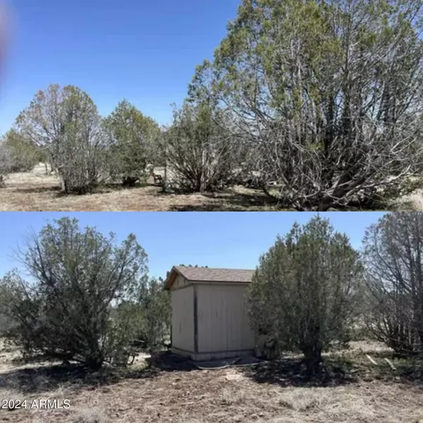 3529 W PINTO Drive #696, Ash Fork, AZ 86320