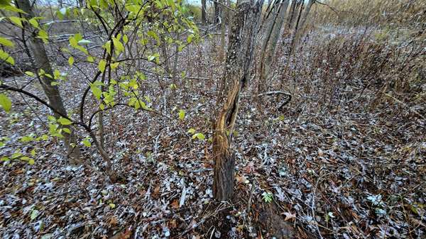 LOT 1 LUCKY Ln, Seneca, WI 54626