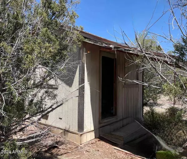 3529 W PINTO Drive #696, Ash Fork, AZ 86320