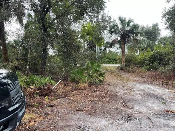 26164 SCHAM RD, Punta Gorda, FL 33955