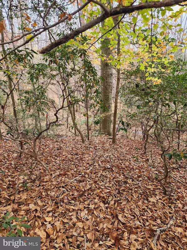 20575 PEACHES HIDE A WAY, Hollywood, MD 20636