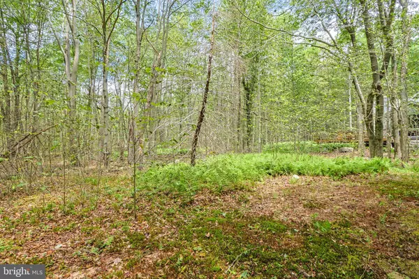 205 BUCKSKIN WAY, Pocono Pines, PA 18350