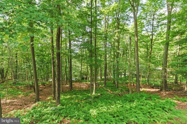 168 SKI TRL, Pocono Lake, PA 18347