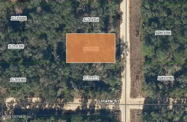 000000 GLORIA AVE, Interlachen, FL 32148