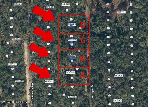 0000000 MICHIGAN DR, Interlachen, FL 32640