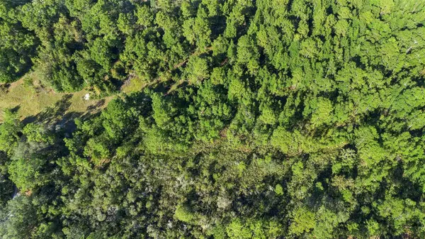 COCKSCROW RD, Satsuma, FL 32189