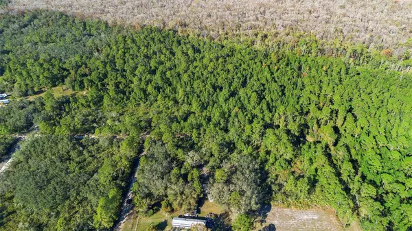 COCKSCROW RD, Satsuma, FL 32189