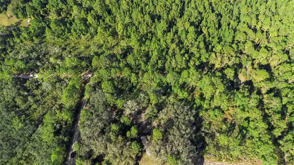 COCKSCROW RD, Satsuma, FL 32189