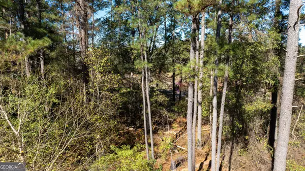 80 Stapler RD #1.3+/- ACRE, Newnan, GA 30263