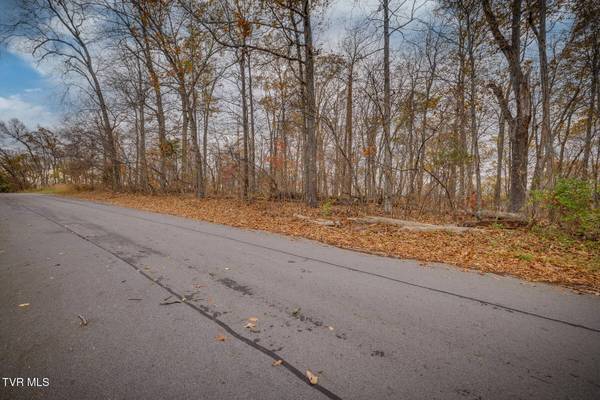 454 Hidden Acres RD, Kingsport, TN 37664