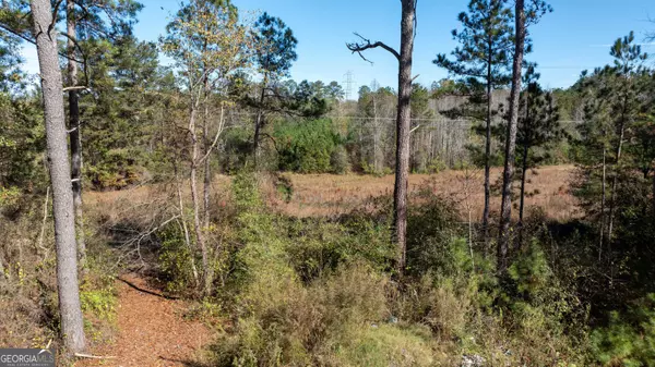 80 Stapler RD #1.3+/- ACRE, Newnan, GA 30263