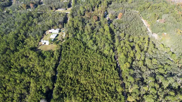 215 QUAIL HOLLOW RD, Satsuma, FL 32189