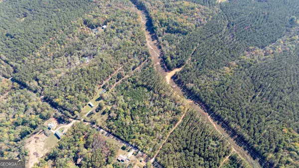 450 Old Jones RD #12.67+/- AC, Whitesburg, GA 30185