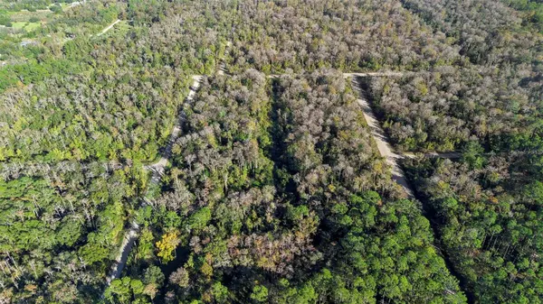 1968 FOREST PARK ST, Bunnell, FL 32110