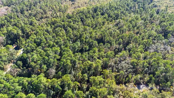 113 EASY ST, Florahome, FL 32140