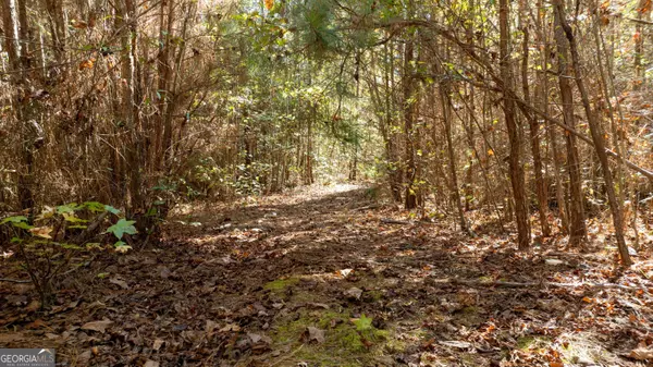 450 Old Jones RD #12.67+/- AC, Whitesburg, GA 30185