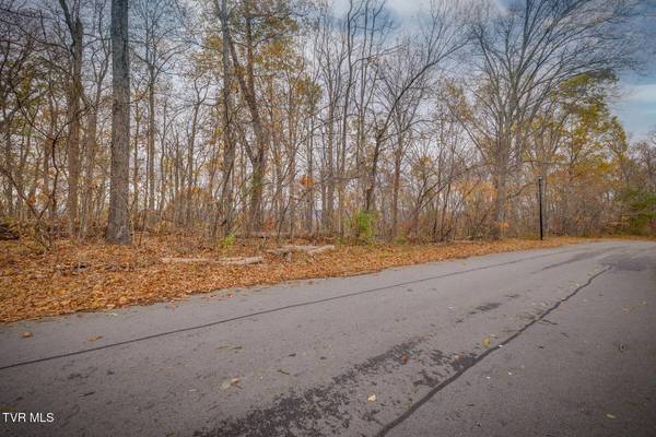 454 Hidden Acres RD, Kingsport, TN 37664