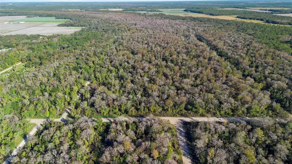 1968 FOREST PARK ST, Bunnell, FL 32110