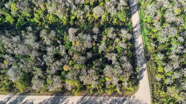 1968 FOREST PARK ST, Bunnell, FL 32110