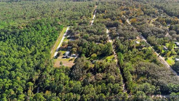 COCKSCROW RD, Satsuma, FL 32189