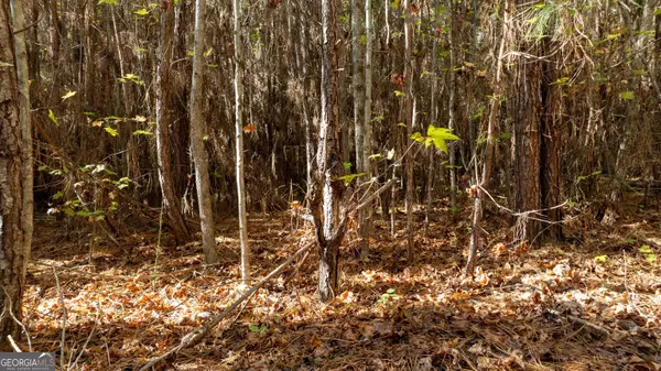 450 Old Jones RD #12.67+/- AC, Whitesburg, GA 30185