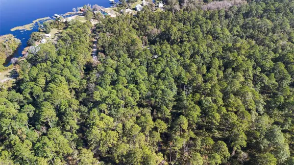 113 EASY ST, Florahome, FL 32140