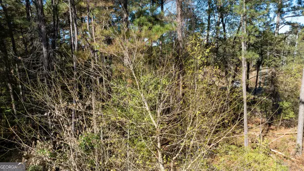 80 Stapler RD #1.3+/- ACRE, Newnan, GA 30263