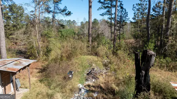 80 Stapler RD #1.3+/- ACRE, Newnan, GA 30263