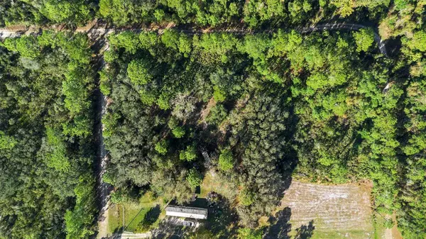 COCKSCROW RD, Satsuma, FL 32189