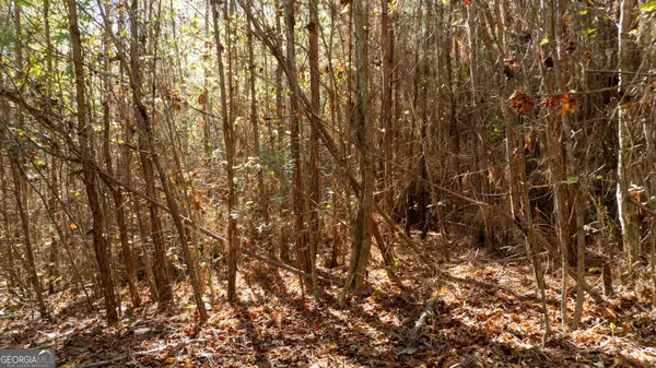 450 Old Jones RD #12.67+/- AC, Whitesburg, GA 30185