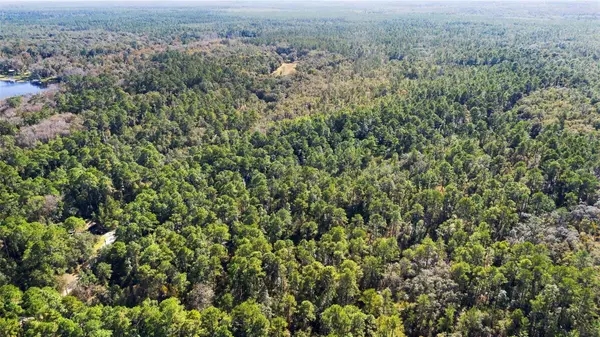 113 EASY ST, Florahome, FL 32140